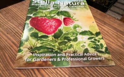 Companion Planting Guide